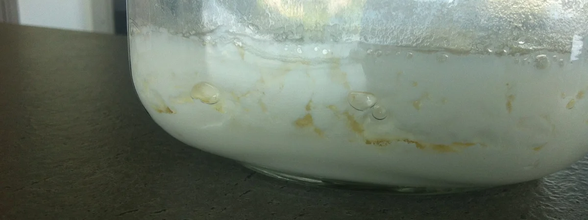 Melkkefir zonder kefir