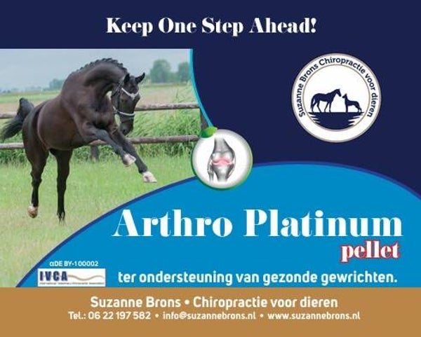 Supplement Gewrichten Paard met Duivelsklauw