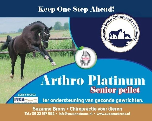 Supplement Gewrichten Ouder Paard met Duivelsklauw | Vitavet