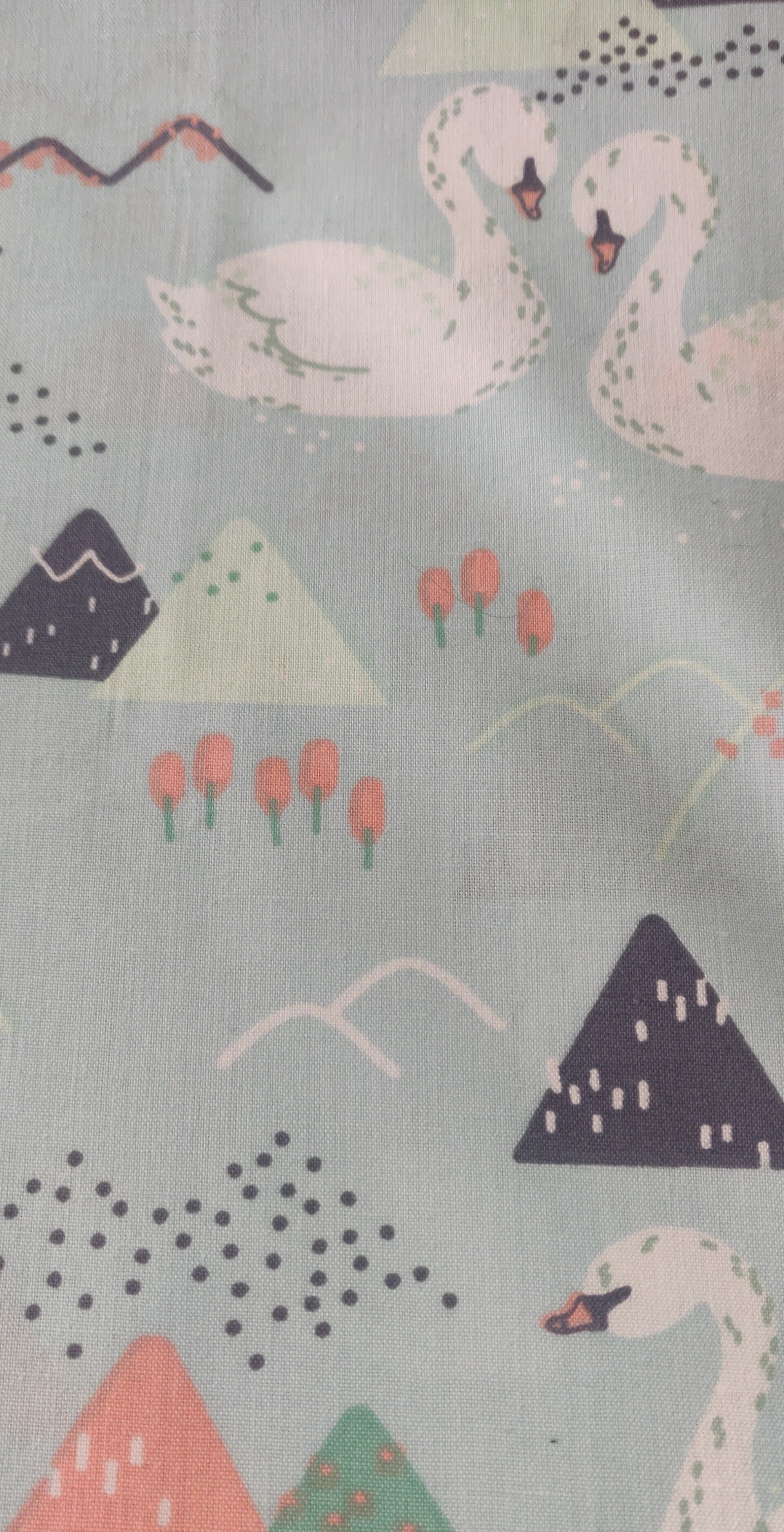 KIDS2 swans on the hill