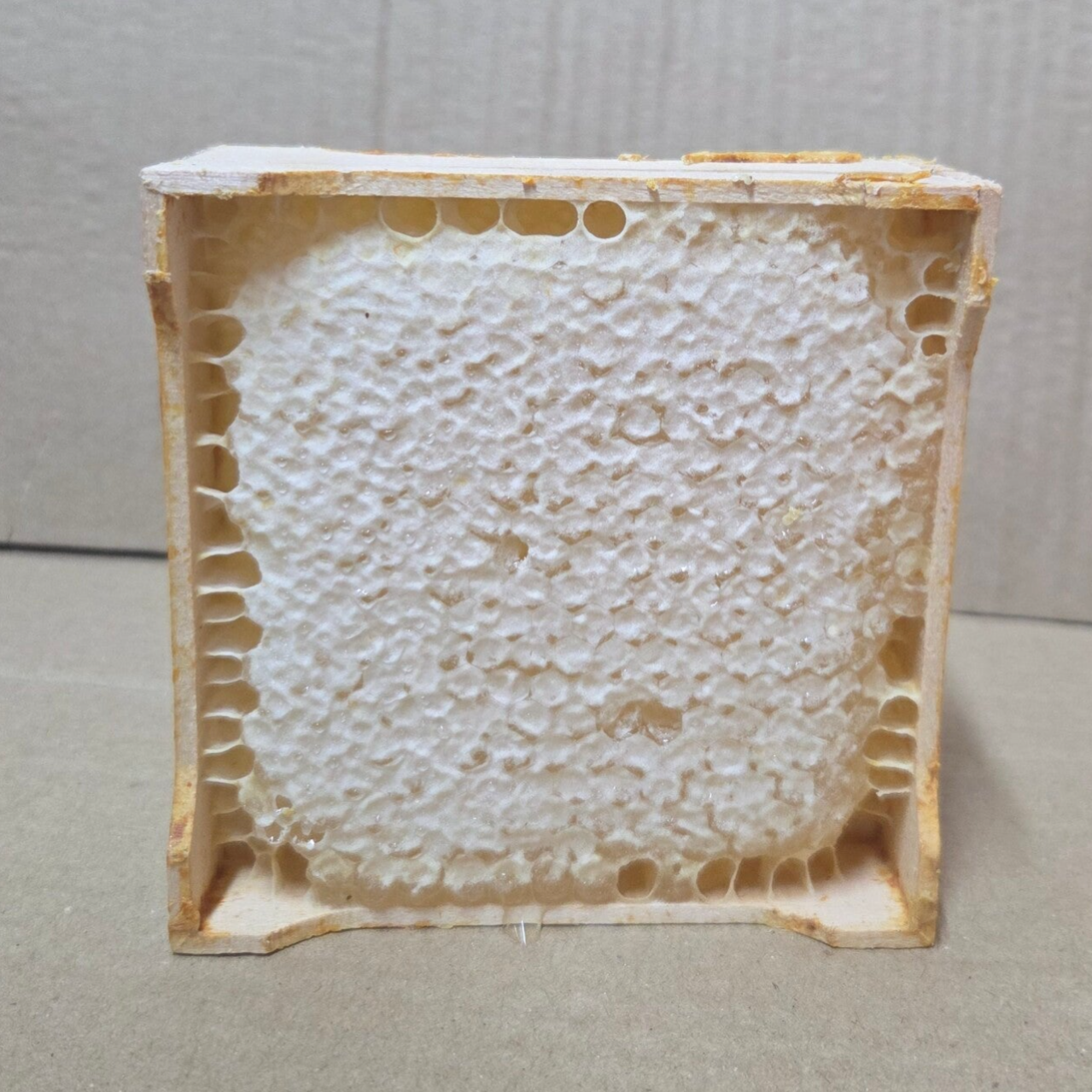 Honey Comb Section