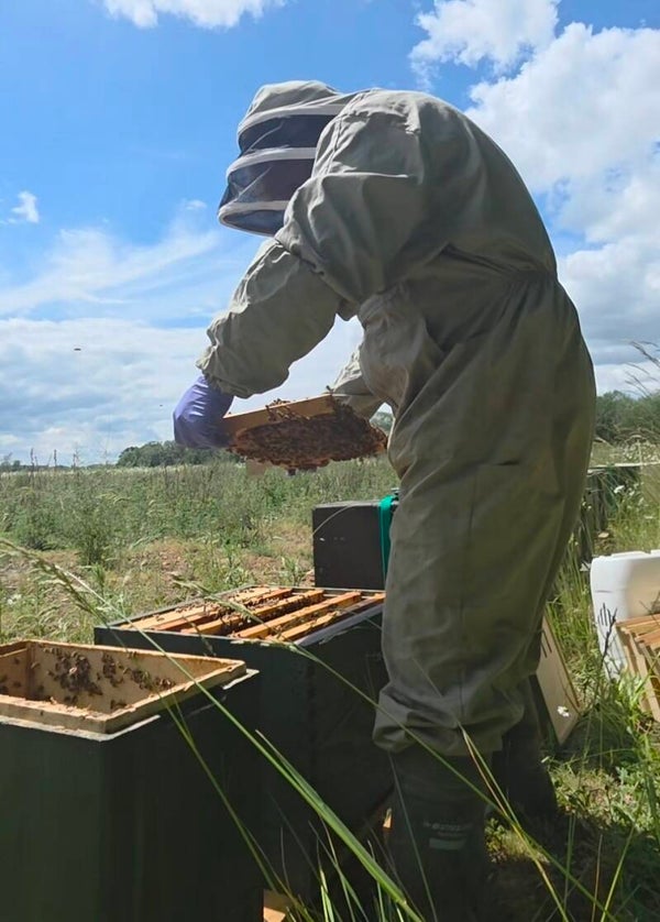 Bee Experience Day