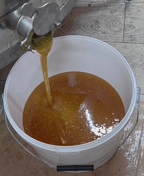 Bulk Honey (30lb) Bucket.