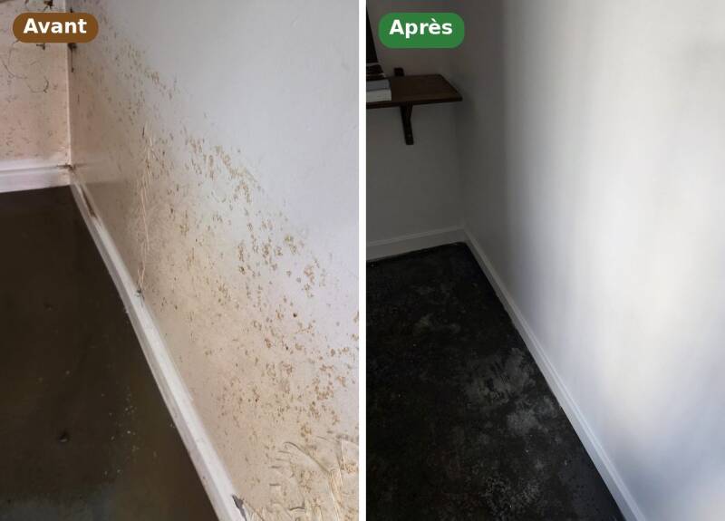 Murs et plinthes après inondation : traces de boue retirées
