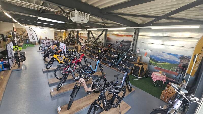 20260317_081813-standard-53j3aq.jpg