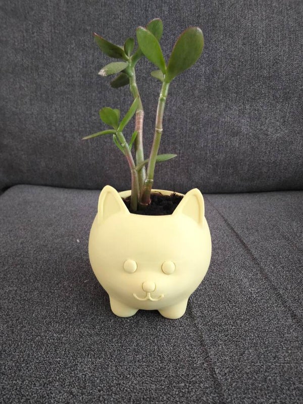 plantpotje kat en hond