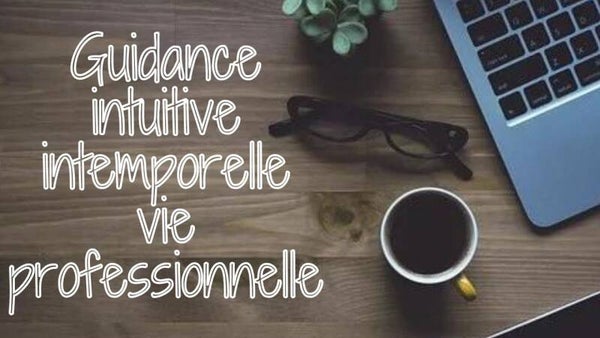 canalisation et guidance  professionnelle