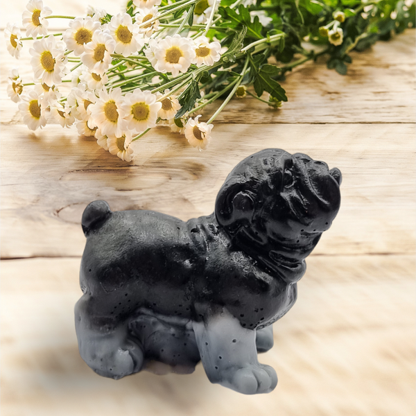Mini Engelse bulldog staand, zwart met witte pootjes