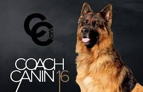 Coach Canin