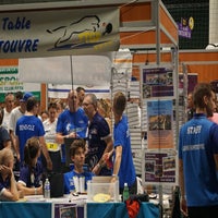 dsc03645-standard.jpg