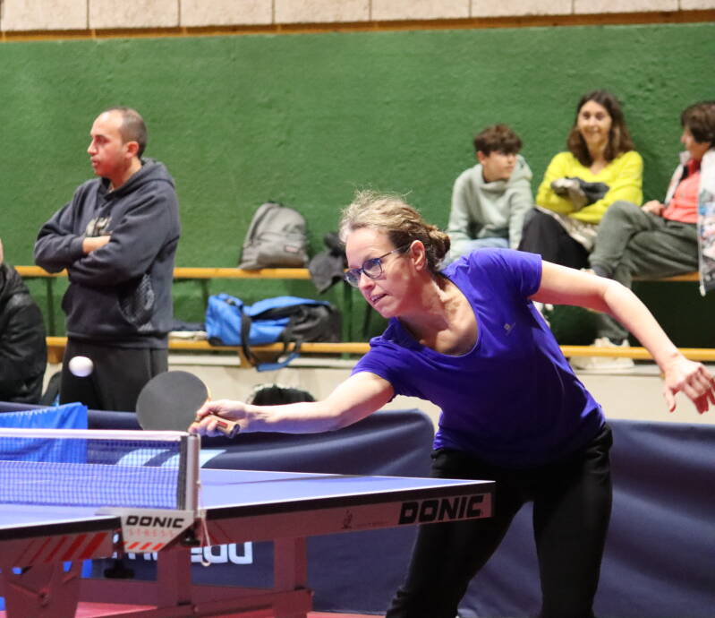 stine-jeu-2-standard-h247v4.jpg