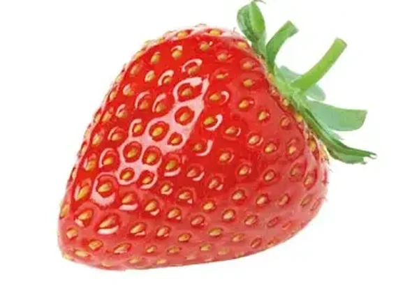 aardbeien buurman Jan 44 stuks