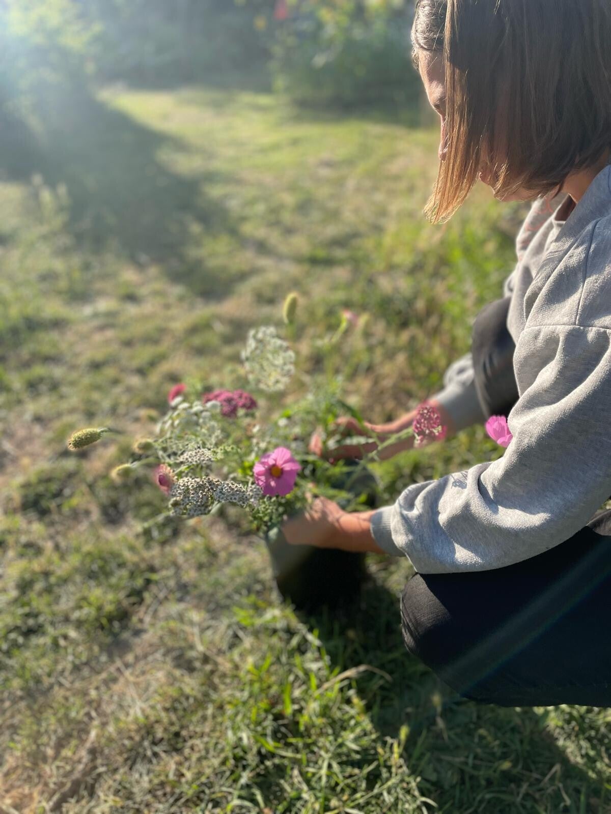 🌸 Workshop: Van veld tot vaas – leer plukken en schikken.