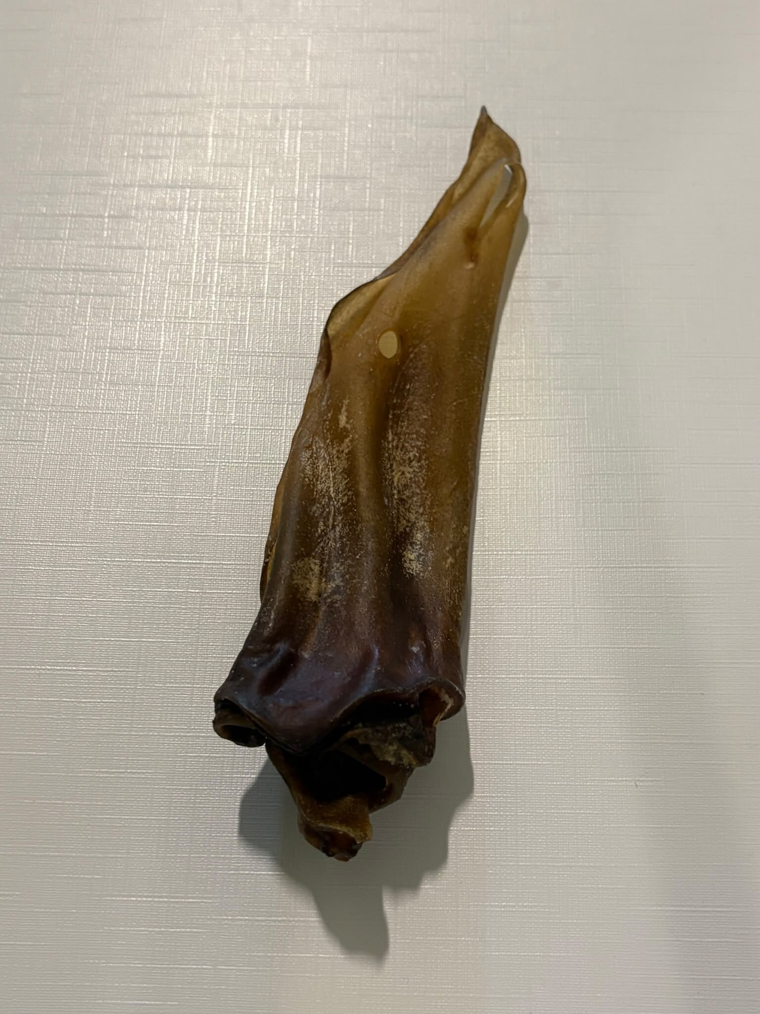 Buffeloren- Kauwsnack voor groot en klein