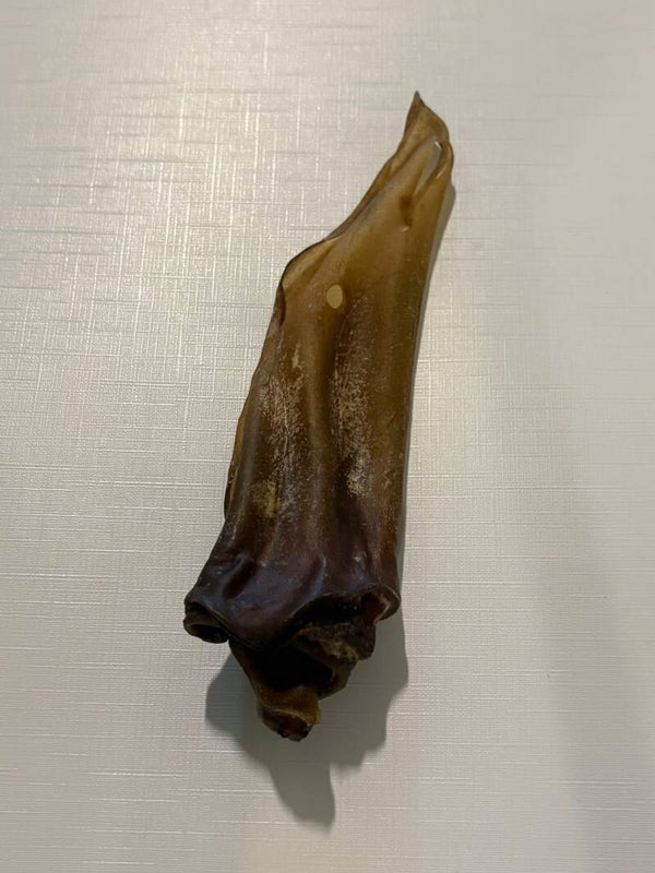 Buffeloren- Kauwsnack voor groot en klein