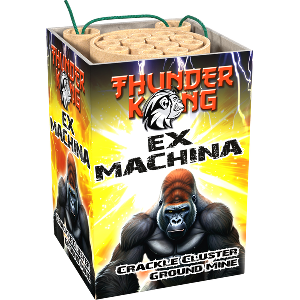 Lesli Ex Machina