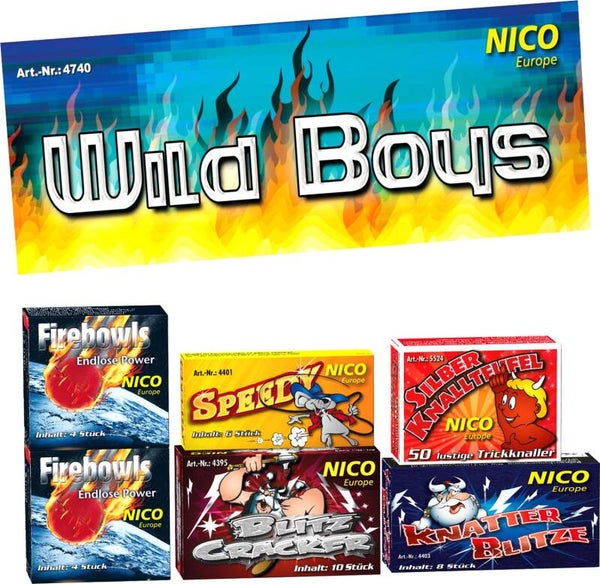 Nico Wild Boys