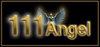 111-angel