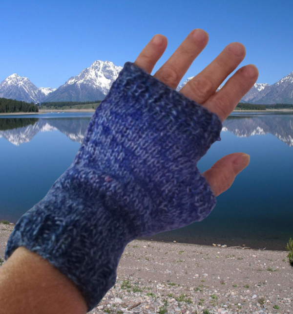 Fingerless Gloves - Blue