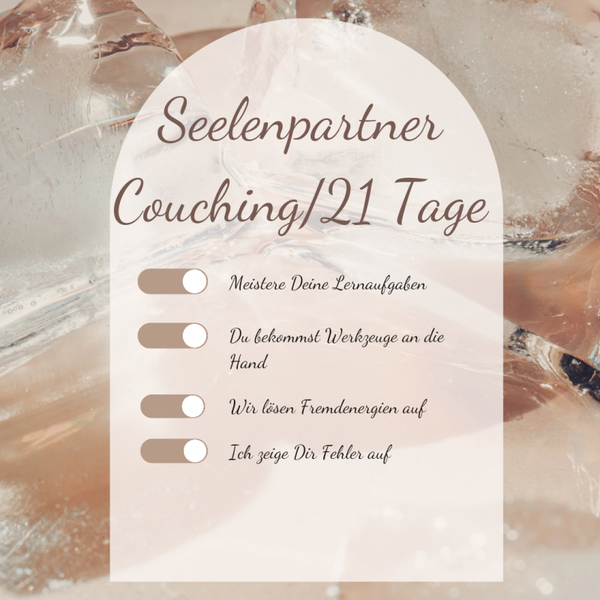 SEELENPARTNER Coaching/DEINE Lernaufgaben/21 Tage