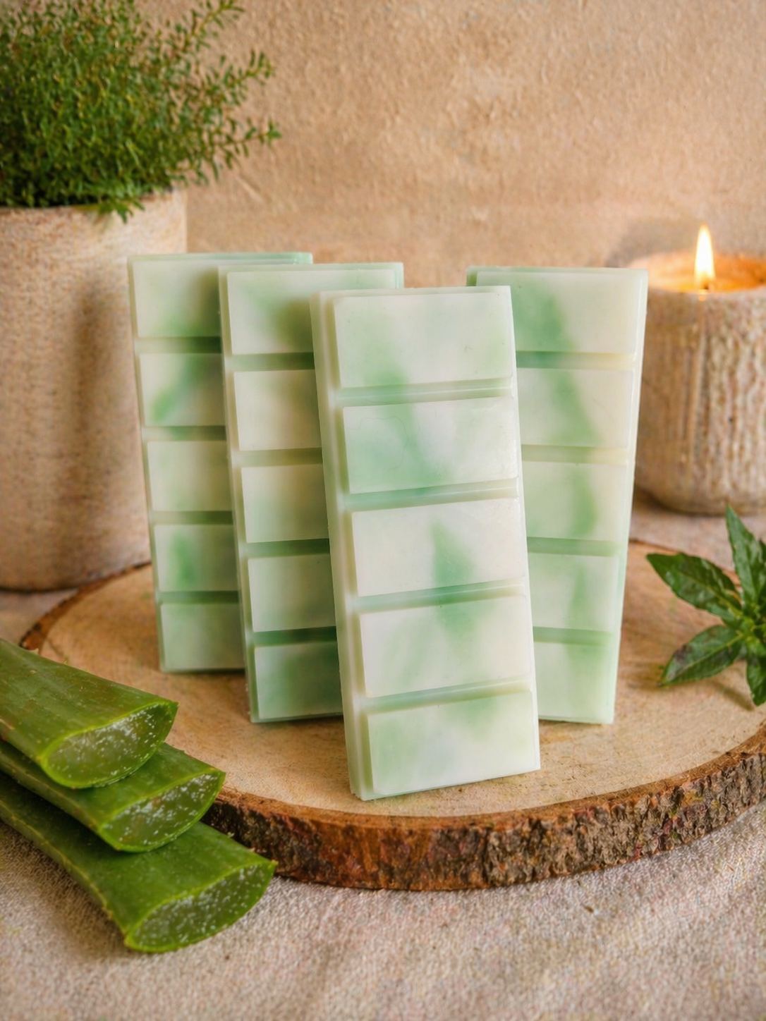 Tablette Fondante Aloe Vera