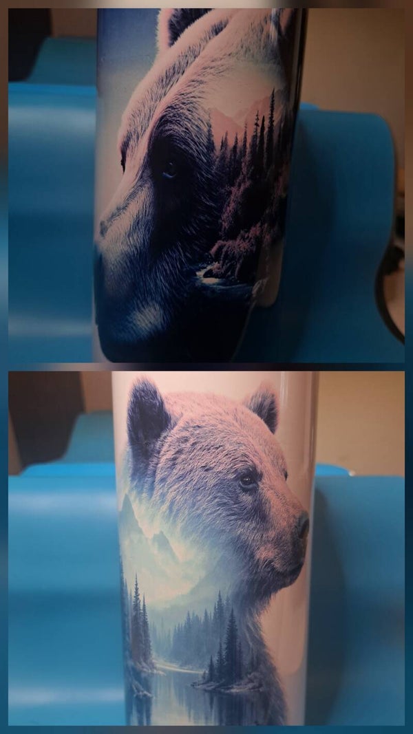 25oz water bottle bear