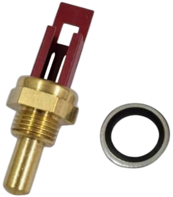 SONDA DI TEMPERATURA RIELLO COD:4366450