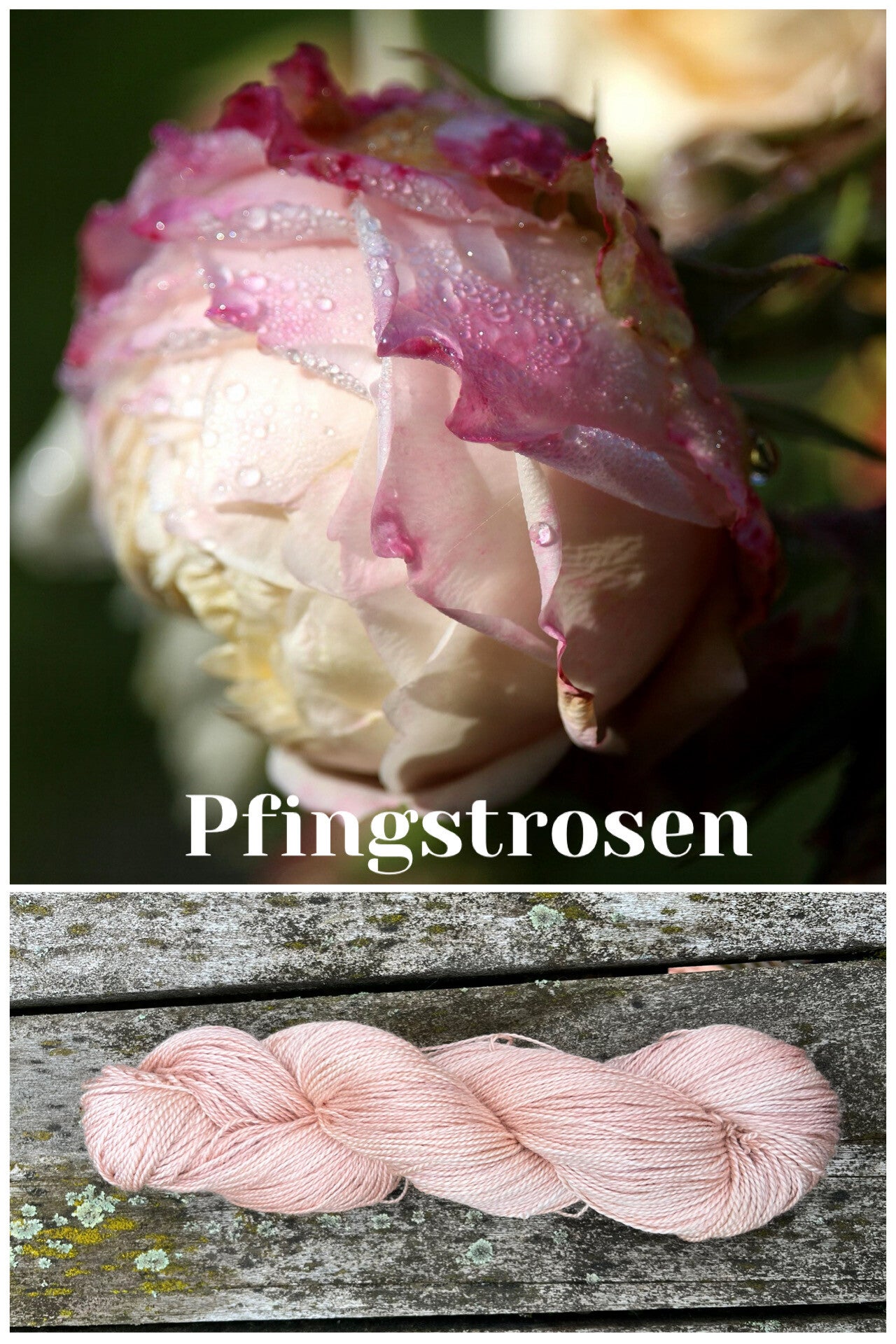 Pfingstrosen