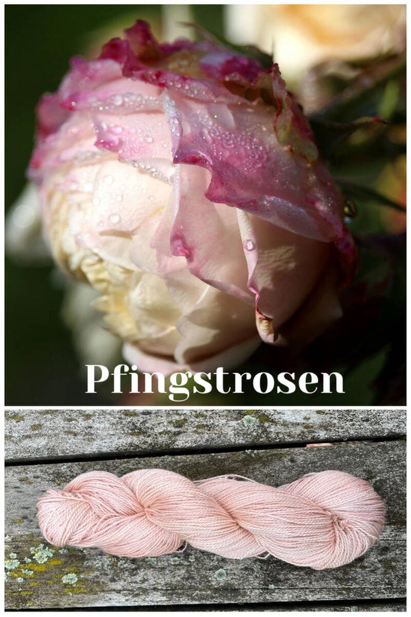 Pfingstrosen