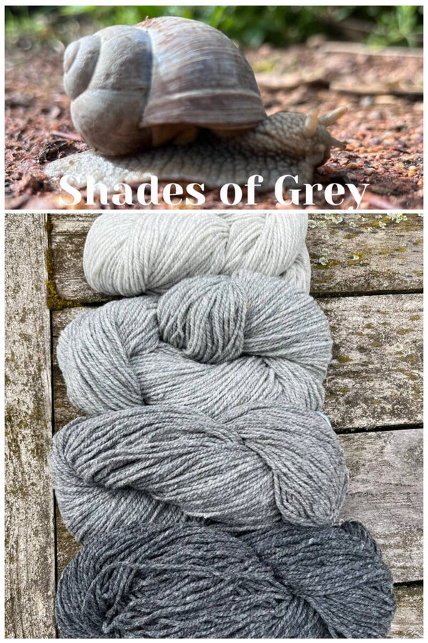 Shades of Grey