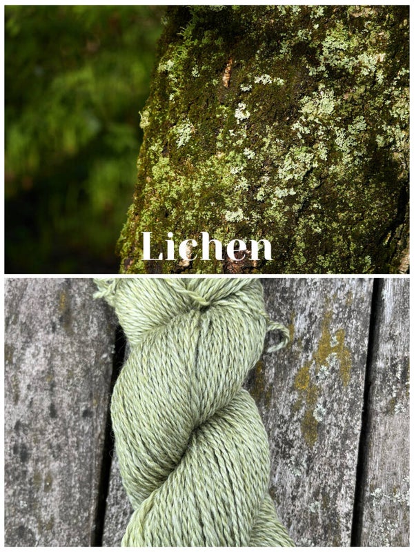 Lichen