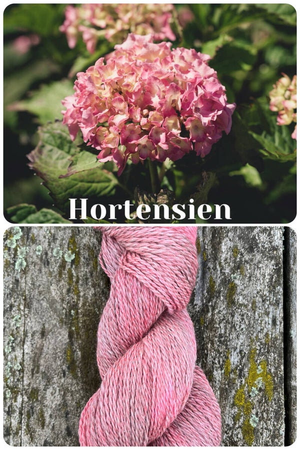 Hortensien