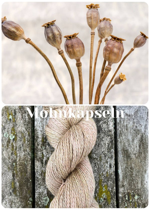 Mohnkapsel