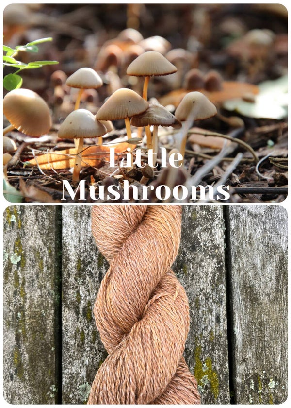 Little Mushrooms