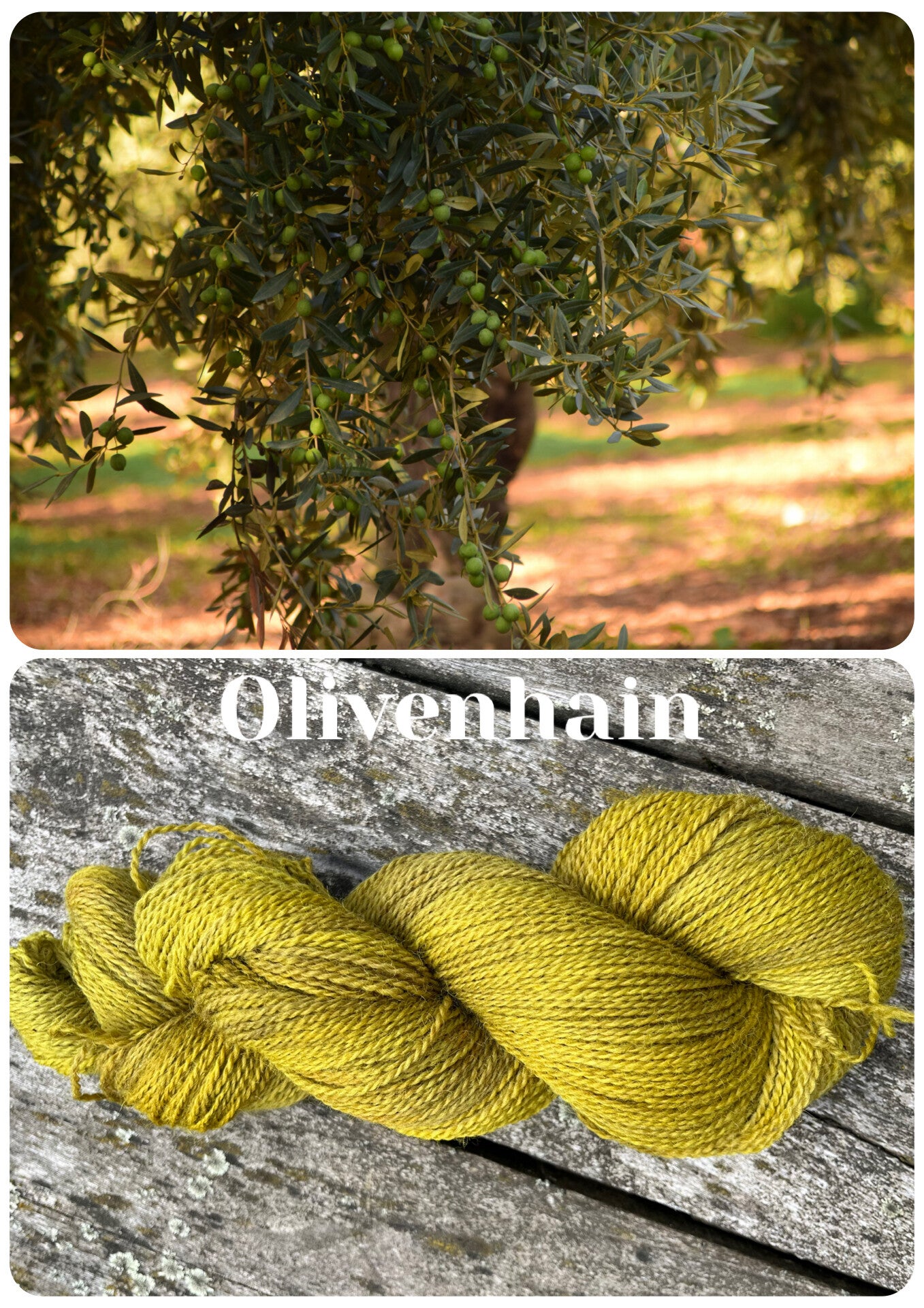 Olivenhain