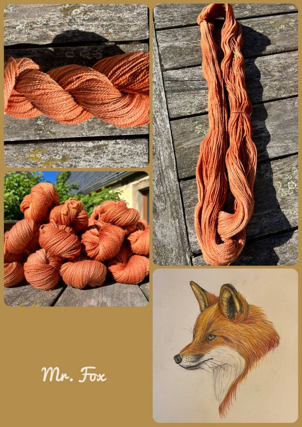 Mr. Fox