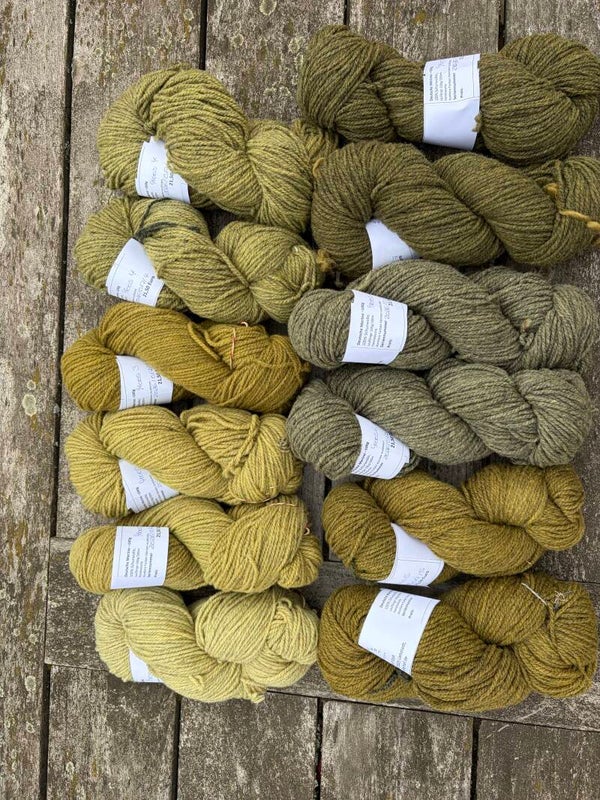 Deutsche Merino - Moos