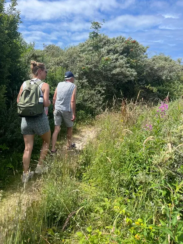 Wildplukwandelingen Den Haag