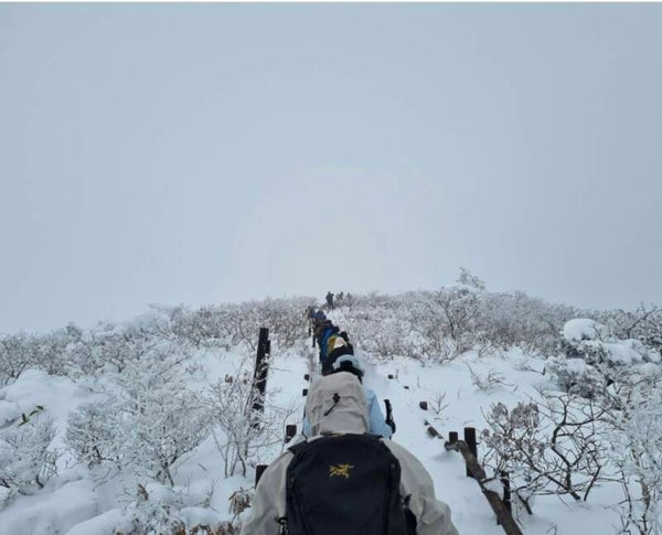 Winter Wildplukwandeling