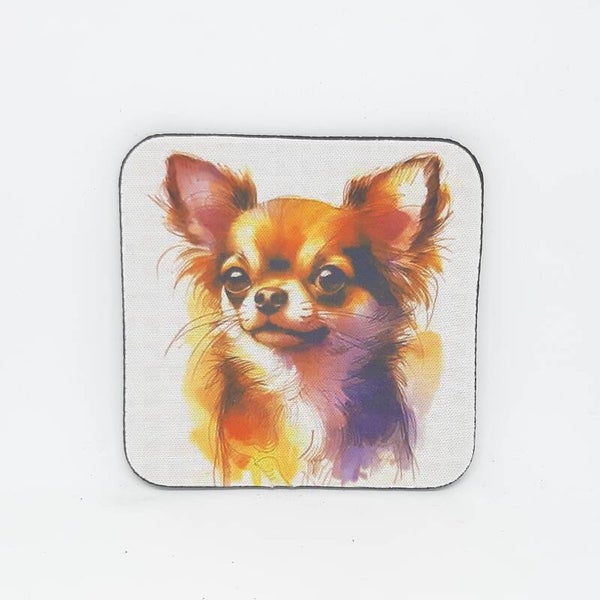 ONDERZETTERS CHIHUAHUA