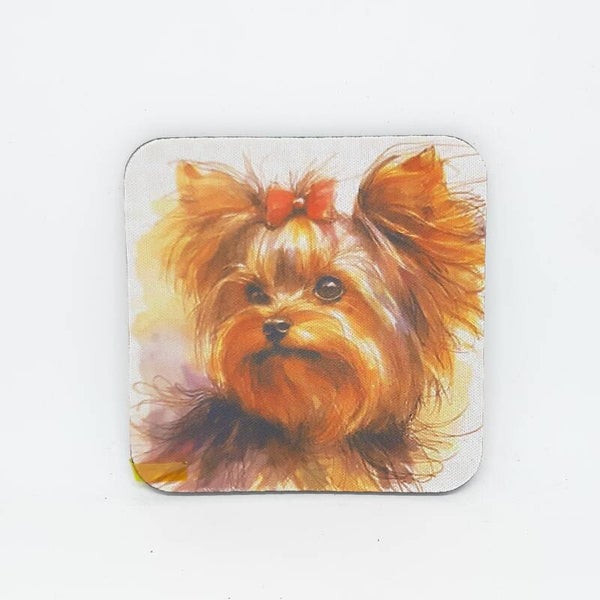 ONDERZETTERS YORKSHIRE TERRIER