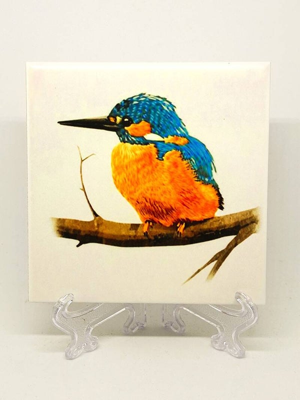 TEGEL IJSVOGEL