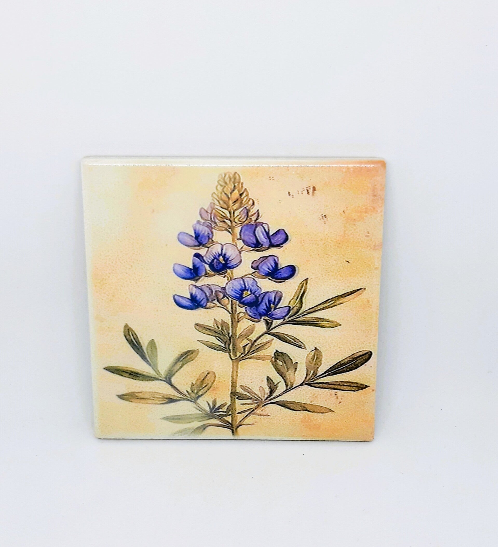 TEGELTJE VINTAGE LUPINE