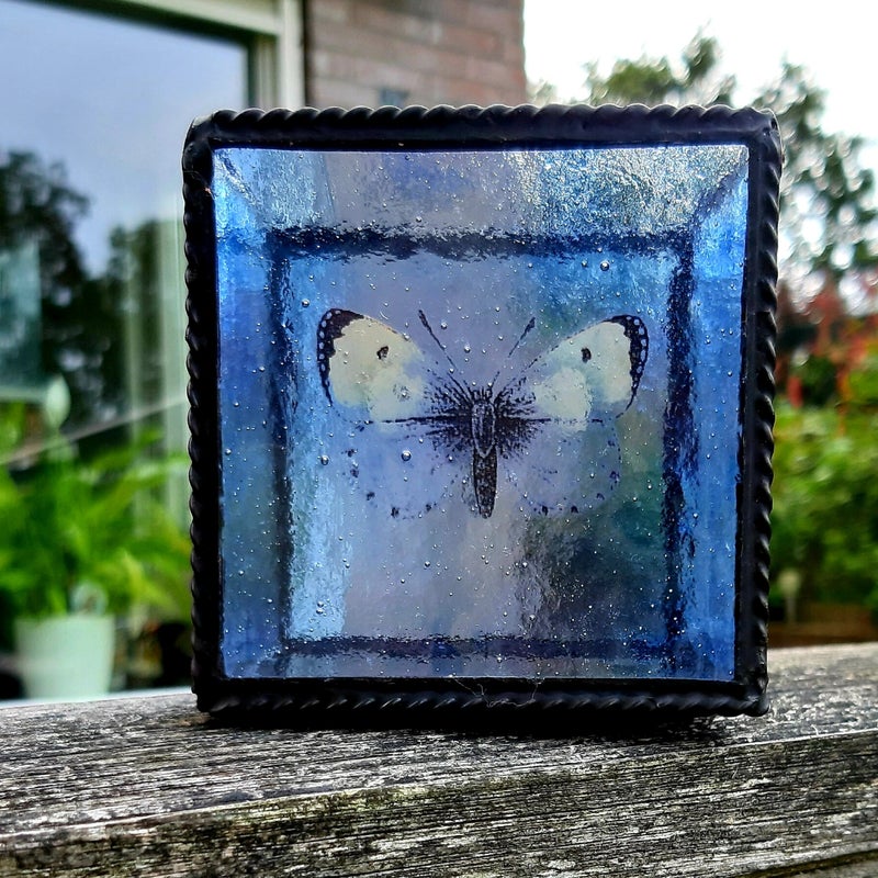 Windlicht met vlinder