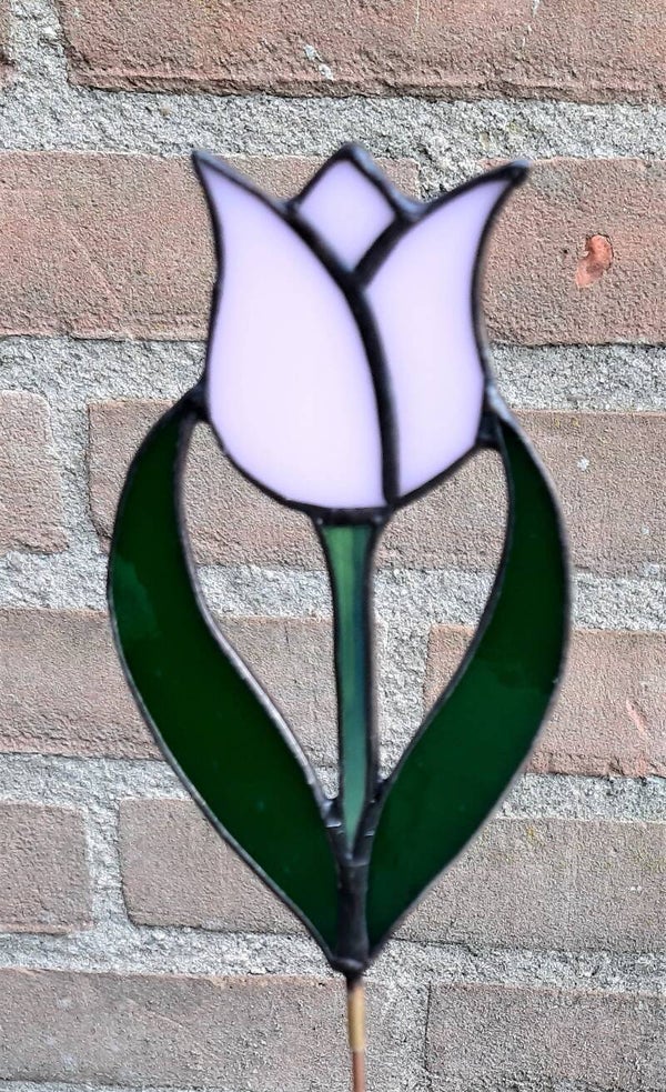 PLANTENSTEKER TULP ROZE