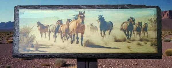 LEISTENEN PLATEAU WILDE PAARDEN