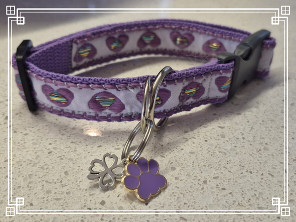 Lilac Collar (M)