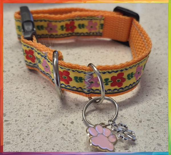 Orange Collar (S)