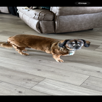 img_9870-standard.png