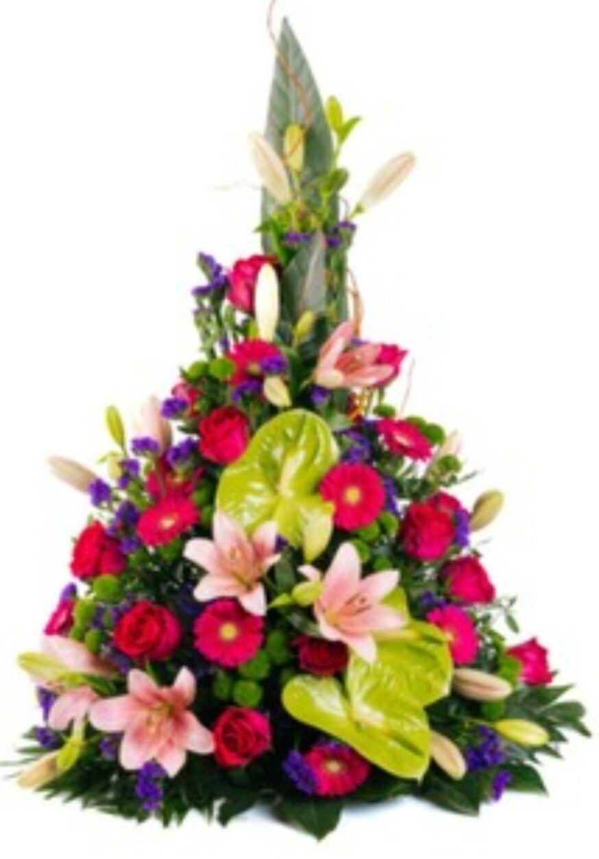 Nos Coussins Coniques